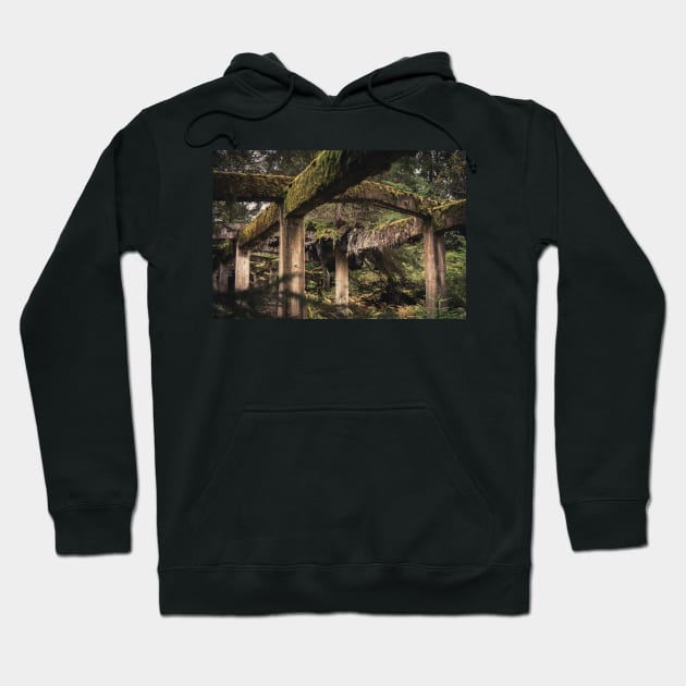 Abandoned Tin Mine Rolava #2 Hoodie by RichardCBAT